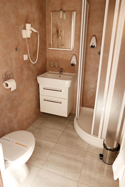 Pension Viola Домажлице Экстерьер фото
